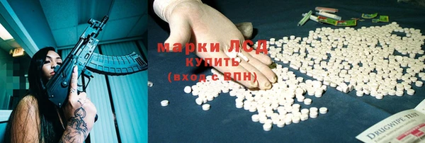 PSILOCYBIN Вязьма